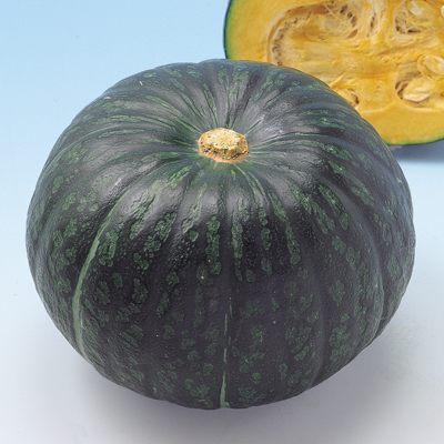 南瓜 かぼちゃ の品種一覧 野菜の種の通信販売 中原採種場 株